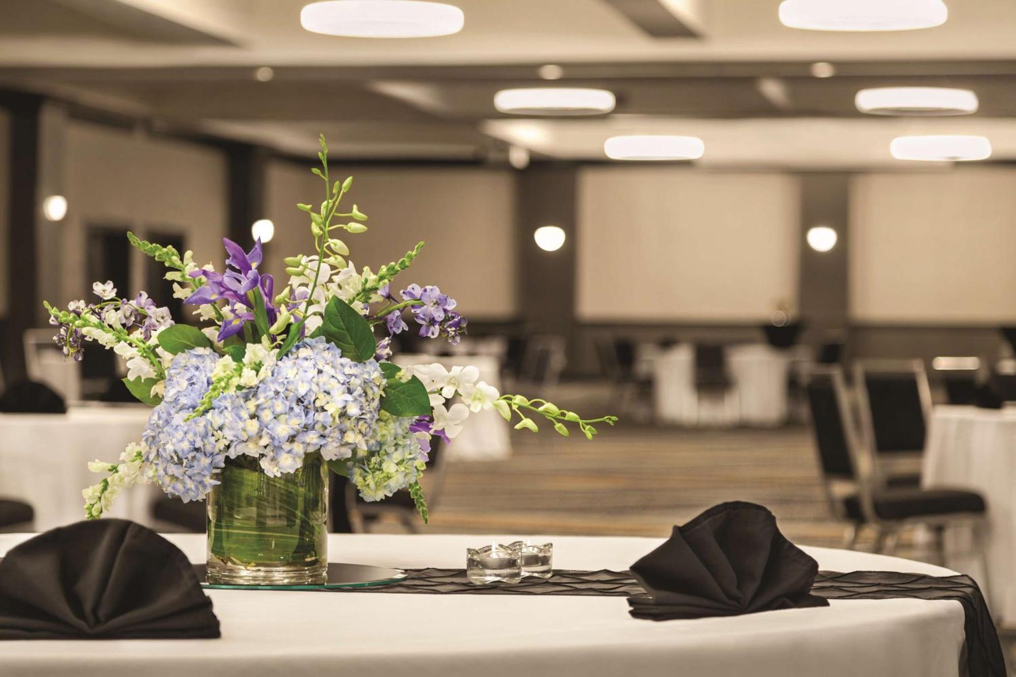 Hilton Knoxville Airport Алкоа Экстерьер фото